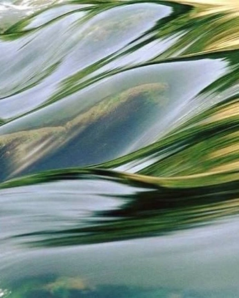 A cover of "AYCP--Water" cluster. The owner is oliviairene. The cluster consists of 16 elements.