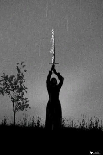 A cover of "Raks" cluster. The owner is onastudio. The cluster consists of 7 elements.