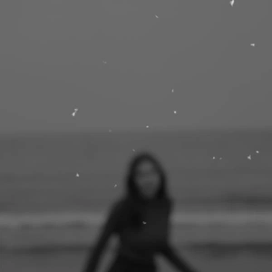 Ichim Artemiza avatar