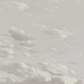 A cover of "Sly" cluster. The owner is loukalu. The cluster consists of 11 elements.