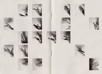 A cover of "zine" cluster. The owner is zacharia. The cluster consists of 2 elements.