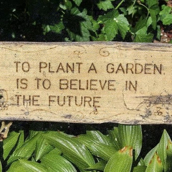 A cover of "gardening" cluster. The owner is misstaylorhunter. The cluster consists of 9 elements.