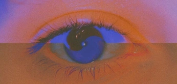 A cover of "humbug" cluster. The owner is prismoe. The cluster consists of 9 elements.