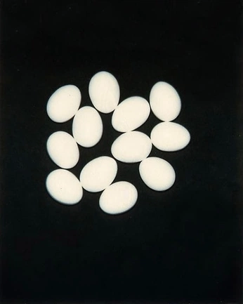 A cover of "Details" cluster. The owner is laurentarber. The cluster consists of 25 elements.