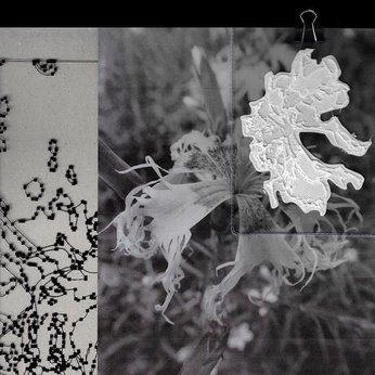 A cover of "ELEMENTS" cluster. The owner is cb.93. The cluster consists of 7 elements.