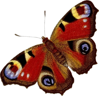 A cover of "mAripOssAsS" cluster. The owner is mirandiuxj. The cluster consists of 9 elements.