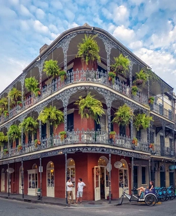 A cover of "Mardi Gras 2025" cluster. The owner is hyphendesigns. The cluster consists of 14 elements.