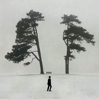 A cover of "Melancholic Solitude" cluster. The owner is aethereal.itf. The cluster description is "touching grass is my fav sport ꨄ ". The cluster consists of 1981 elements.
