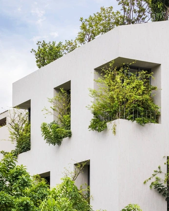 A cover of "beCBD" cluster. The owner is jujuzeking. The cluster consists of 20 elements.