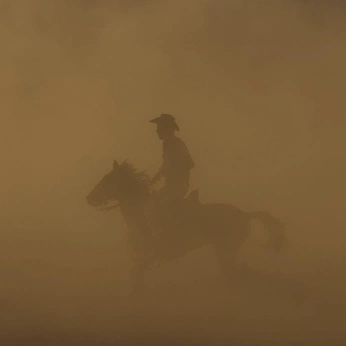 A cover of "fearless" cluster. The owner is earthy01. The cluster consists of 25 elements.