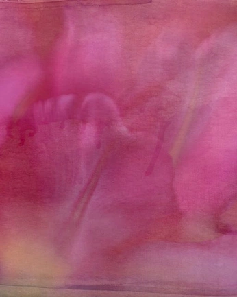 A cover of "Flower" cluster. The owner is nareik. The cluster consists of 2 elements.