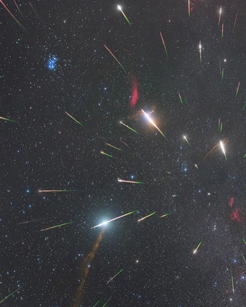 A cover of "HKJC - FWD Champions Day" cluster. The owner is kwokywemi. The cluster consists of 14 elements.