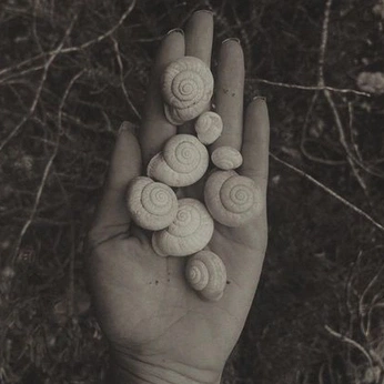 A cover of "MYSTIC MONEY" cluster. The owner is klarafoldys. The cluster description is "questioning wealth, living abundance, the new money story unfolds". The cluster consists of 35 elements.