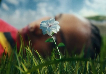 A cover of "VIDEO" cluster. The owner is zziru. The cluster consists of 1 element.