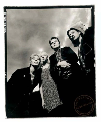 A cover of "Smashing pumpkins" cluster. The owner is moony.miaow. The cluster consists of 1 element.