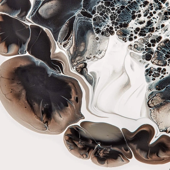 A cover of "WEBSITE AESTHETIC" cluster. The owner is pramodhini. The cluster consists of 12 elements.