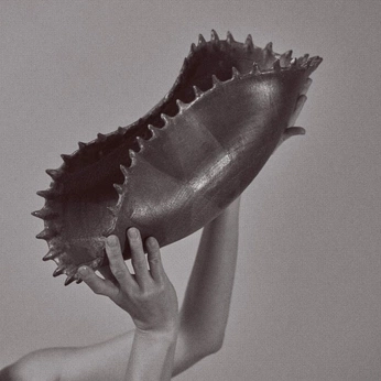 A cover of "Objects" cluster. The owner is cedarrobin. The cluster consists of 3 elements.