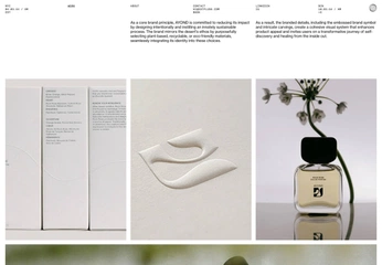 A cover of "website" cluster. The owner is verandaaa. The cluster consists of 5 elements.