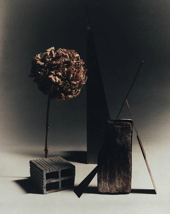 A cover of "Lupine осколочный" cluster. The owner is kolyaprya. The cluster consists of 8 elements.