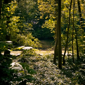 A cover of "Lands under the heavens" cluster. The owner is didoschka. The cluster consists of 25 elements.