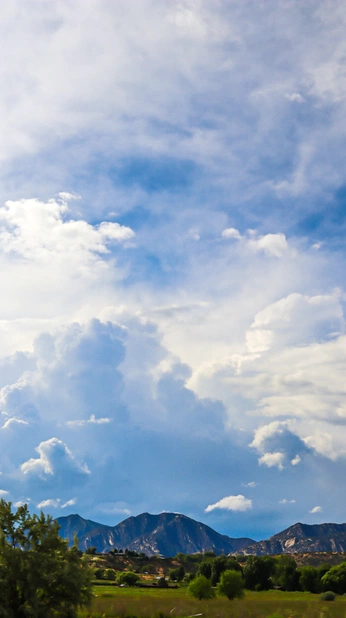 A cover of "雲" cluster. The owner is feclown. The cluster consists of 2 elements.