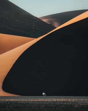 A cover of "F H O T O" cluster. The owner is chavaoviedo. The cluster consists of 36 elements.