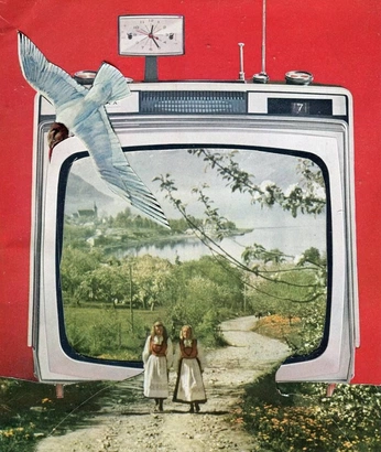 A cover of "collage" cluster. The owner is kpslider. The cluster consists of 12 elements.