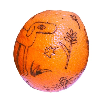 A cover of "Food" cluster. The owner is mariasofia. The cluster consists of 1 element.