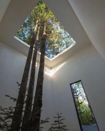 A cover of "Nature/Not" cluster. The owner is halfinchscale. The cluster consists of 6 elements.