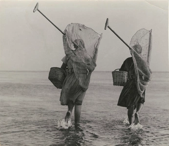 A cover of "The Haenyo" cluster. The owner is lilylui. The cluster consists of 32 elements.