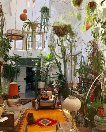 A cover of "2025 bedroom" cluster. The owner is netana. The cluster consists of 2 elements.