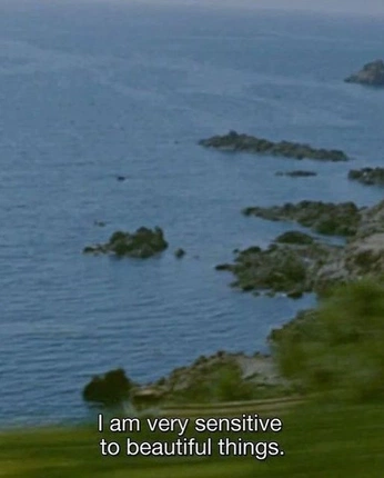 A cover of "quotes" cluster. The owner is luciddreams. The cluster consists of 3 elements.