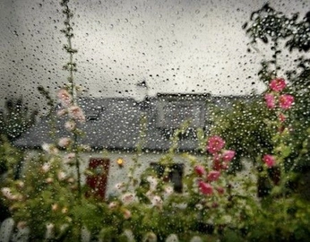 A cover of "Imagery - Sweet Reveries" cluster. The owner is keepingnotebook. The cluster consists of 8 elements.