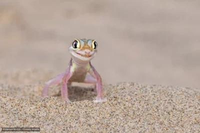 An image added by fiatlux on Oct 20, 2024. May present: wildlife photography, photography, wildlife, photograph.