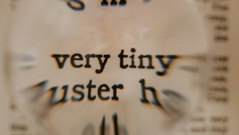 A cover of "Type" cluster. The owner is noodledog. The cluster consists of 48 elements.