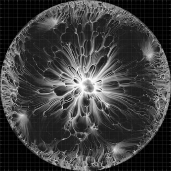 A cover of "Kool" cluster. The owner is rok.sivante. The cluster consists of 91 elements.