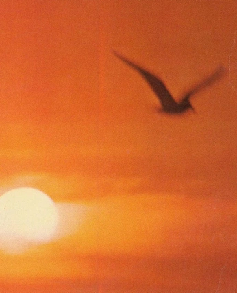 A cover of "Brand Resources" cluster. The owner is sergipenalba. The cluster consists of 25 elements.