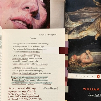 A cover of "ANNOTATE" cluster. The owner is velvetsampledd. The cluster consists of 18 elements.