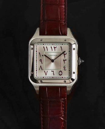 A cover of "Cartier Santos" cluster. The owner is anyelotroyadp. The cluster consists of 11 elements.