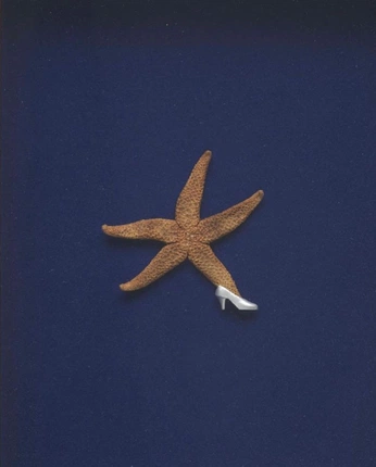 A cover of " 🐚" cluster. The owner is motttiva. The cluster consists of 5 elements.