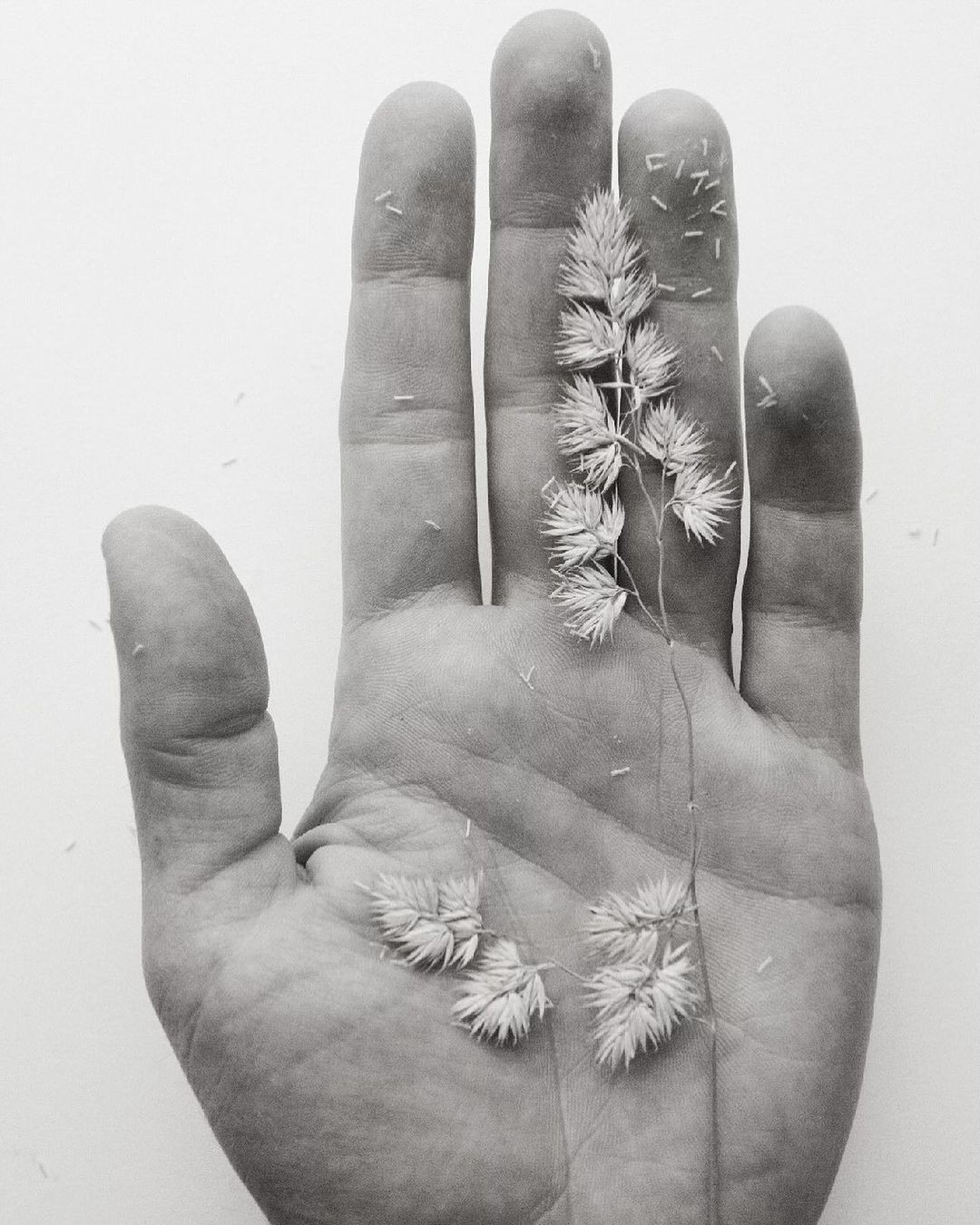 From "The Fabric of Truth" in Holiday Magazine's Spring/Summer 2024 issue. Photo by Dougal MacArthur.