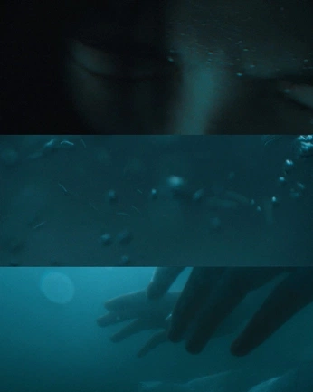 A cover of "Backs" cluster. The owner is maw28. The cluster consists of 15 elements.