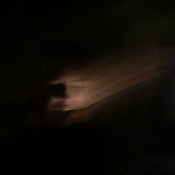 A cover of "portraits" cluster. The owner is blemy. The cluster consists of 11 elements.