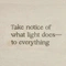 Cover of Words cluster