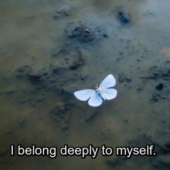 A cover of "selfcare" cluster. The owner is beafer. The cluster consists of 25 elements.