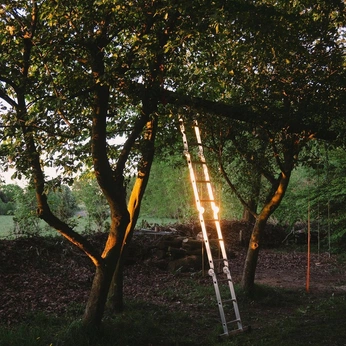 A cover of "like" cluster. The owner is sergeynugaev. The cluster consists of 37 elements.