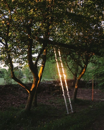 A cover of "złote ryby" cluster. The owner is catinosaur. The cluster consists of 53 elements.