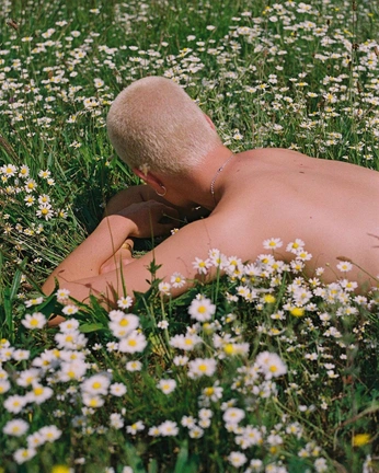 A cover of "JAPVX" cluster. The owner is fevictorino. The cluster consists of 1 element.