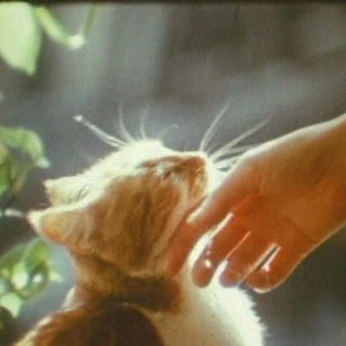 A cover of "SW AU: Rebel Hux" cluster. The owner is akwardtractor. The cluster consists of 48 elements.