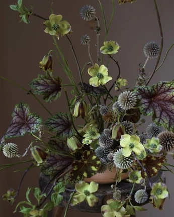 A cover of "florals" cluster. The owner is eskeyes12. The cluster consists of 3 elements.